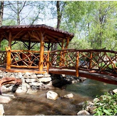 Pensiunea Pentru Tine Prietene Arcani ภายนอก รูปภาพ