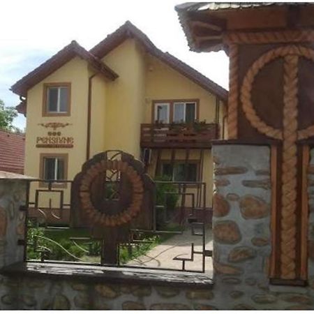 Pensiunea Pentru Tine Prietene Arcani ห้อง รูปภาพ