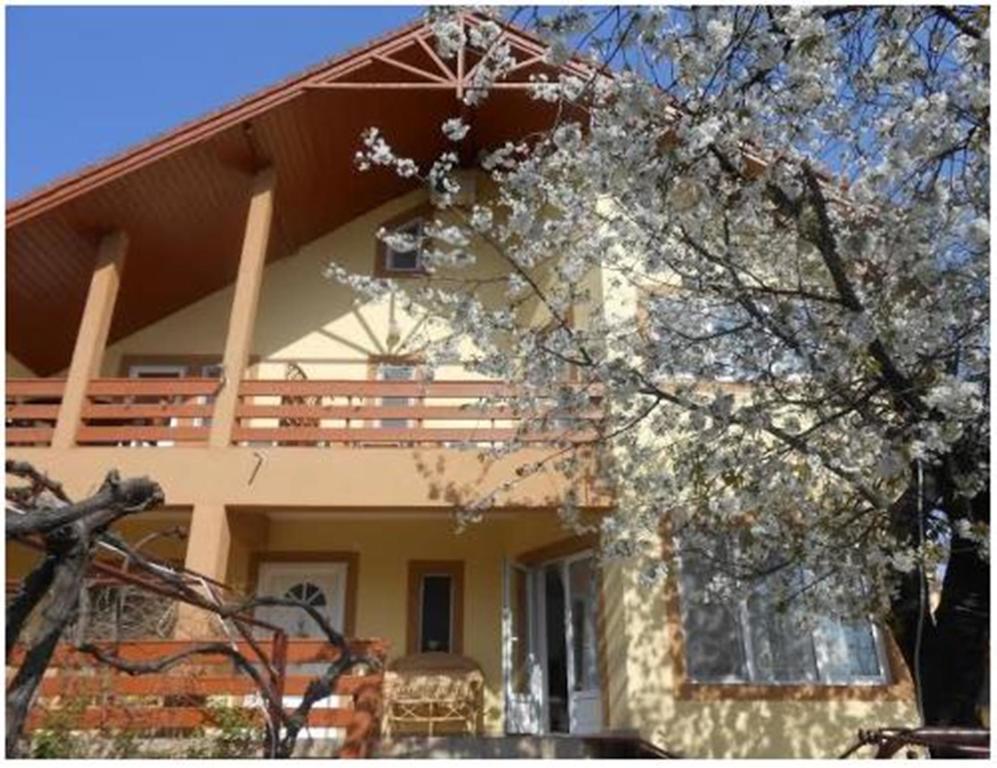 Pensiunea Pentru Tine Prietene Arcani ห้อง รูปภาพ