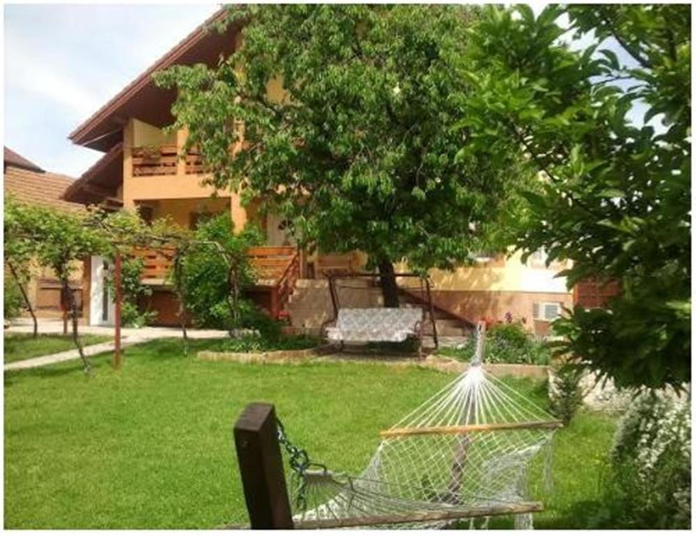 Pensiunea Pentru Tine Prietene Arcani ห้อง รูปภาพ