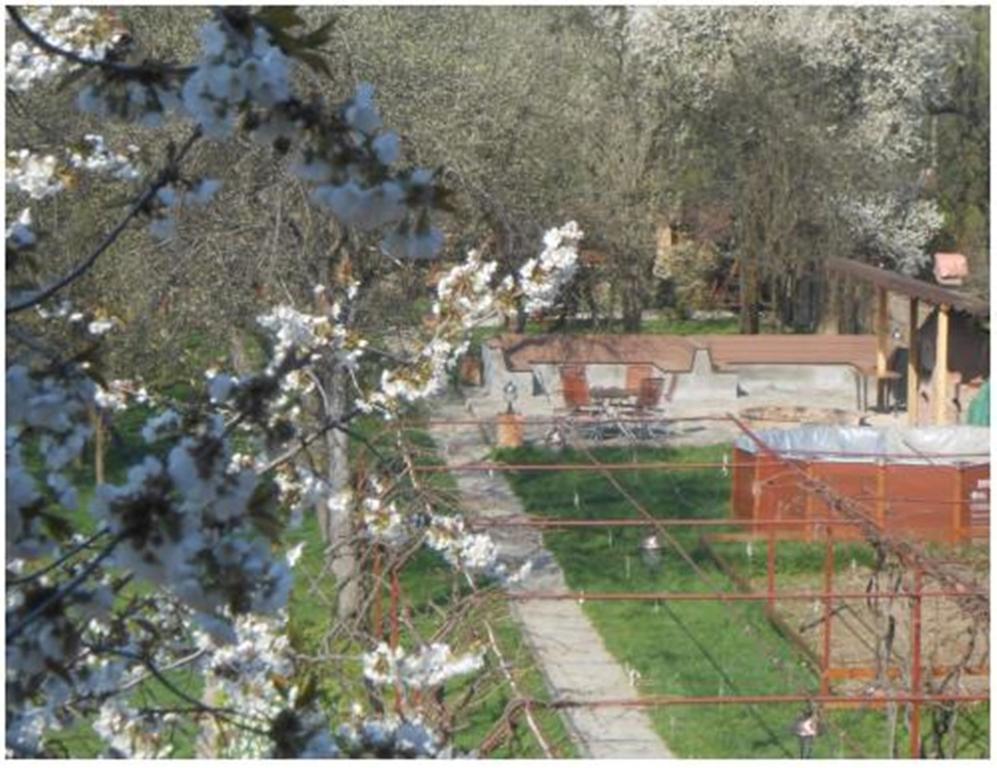 Pensiunea Pentru Tine Prietene Arcani ห้อง รูปภาพ